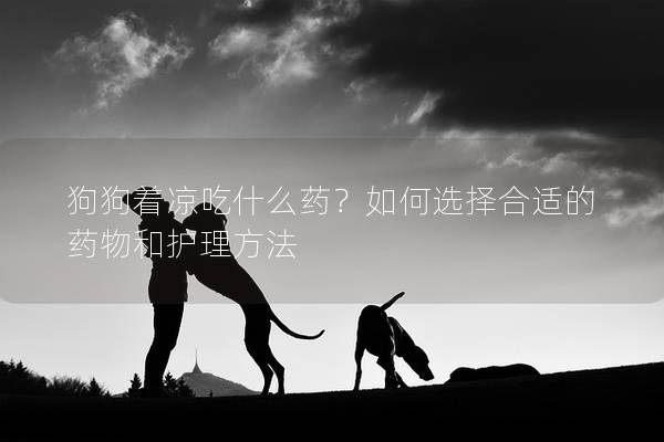 狗狗著涼吃什么藥？如何選擇合適的藥物和護理方法