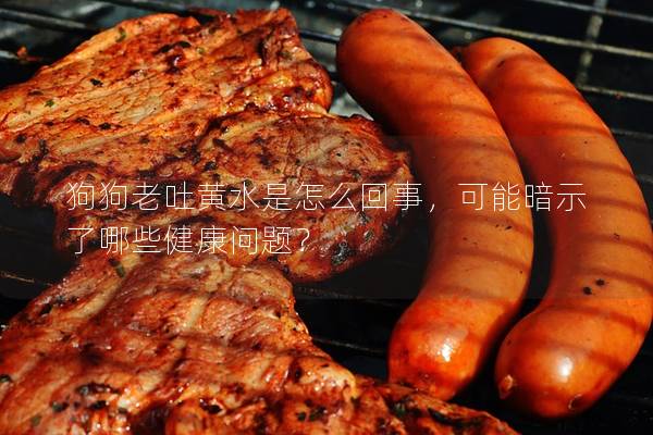 狗狗老吐黃水是怎么回事，可能暗示了哪些健康問題？