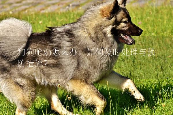 狗狗嗆奶怎么辦,如何及時處理與預防措施? 狗狗嗆奶怎么辦,如何及時處理與預防措施?