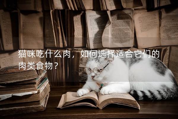 貓咪吃什么肉,如何選擇適合它們的肉類(lèi)食物? 貓咪吃什么肉,如何選擇適合它們的肉類(lèi)食物?