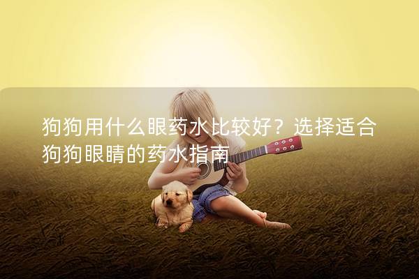 狗狗用什么眼藥水比較好？選擇適合狗狗眼睛的藥水指南