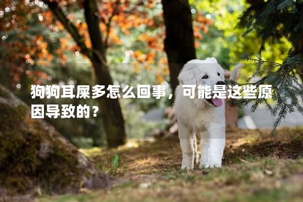 狗狗耳屎多怎么回事，可能是這些原因導致的？