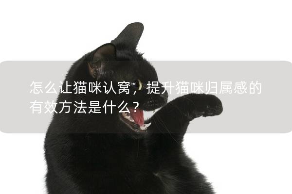 怎么讓貓咪認(rèn)窩，提升貓咪歸屬感的有效方法是什么？