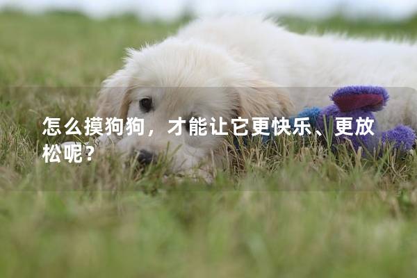 怎么摸狗狗，才能讓它更快樂、更放松呢？