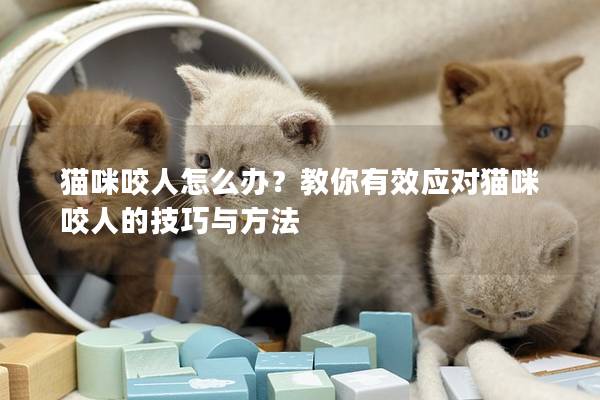 貓咪咬人怎么辦？教你有效應對貓咪咬人的技巧與方法