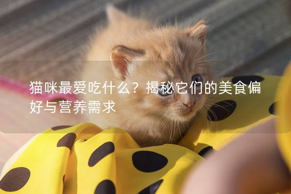 貓咪最愛吃什么？揭秘它們的美食偏好與營養需求