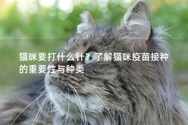 貓咪要打什么針?了解貓咪疫苗接種的重要性與種類