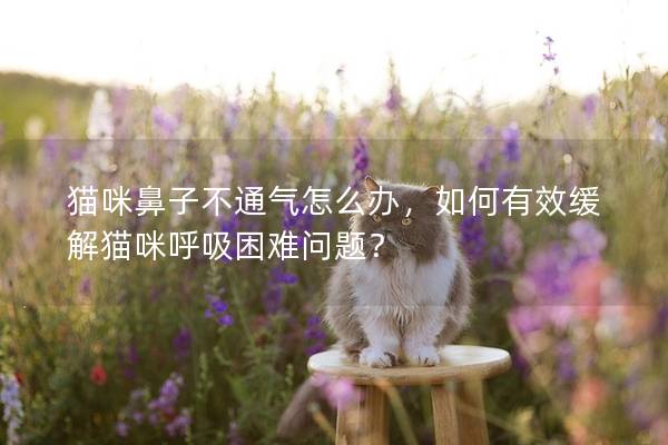 貓咪鼻子不通氣怎么辦，如何有效緩解貓咪呼吸困難問題？
