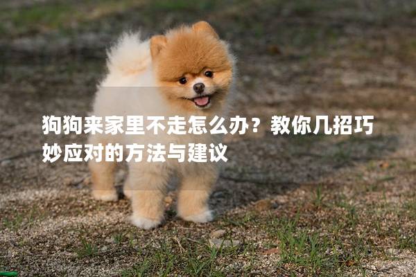 狗狗來家里不走怎么辦？教你幾招巧妙應對的方法與建議