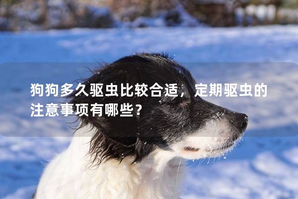 狗狗多久驅(qū)蟲比較合適，定期驅(qū)蟲的注意事項(xiàng)有哪些？