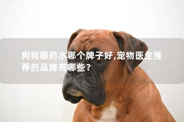 狗狗眼藥水哪個牌子好,寵物醫生推薦的品牌有哪些? 狗狗眼藥水哪個牌子好,寵物醫生推薦的品牌有哪些?