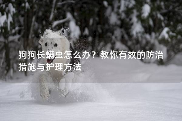 狗狗長螨蟲怎么辦？教你有效的防治措施與護理方法