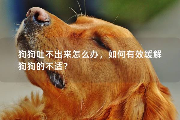 狗狗吐不出來怎么辦，如何有效緩解狗狗的不適？