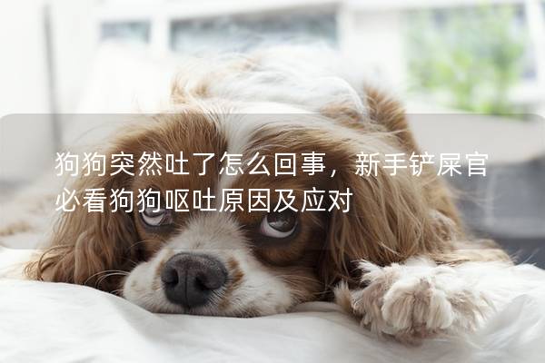 狗狗突然吐了怎么回事，新手鏟屎官必看狗狗嘔吐原因及應(yīng)對