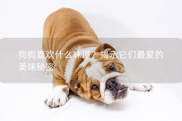 狗狗喜歡什么味道?揭示它們最愛的美味秘密 狗狗喜歡什么味道?揭示它們最愛的美味秘密