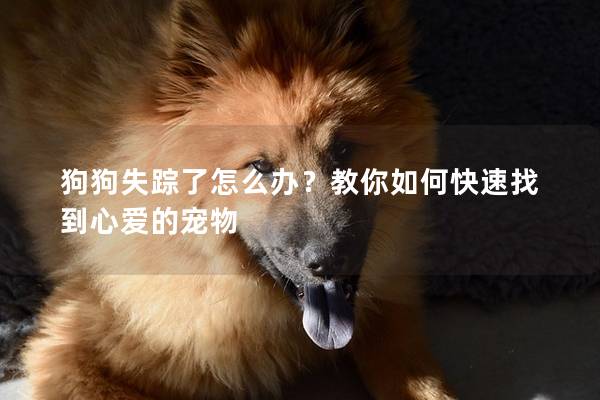 狗狗失蹤了怎么辦？教你如何快速找到心愛的寵物