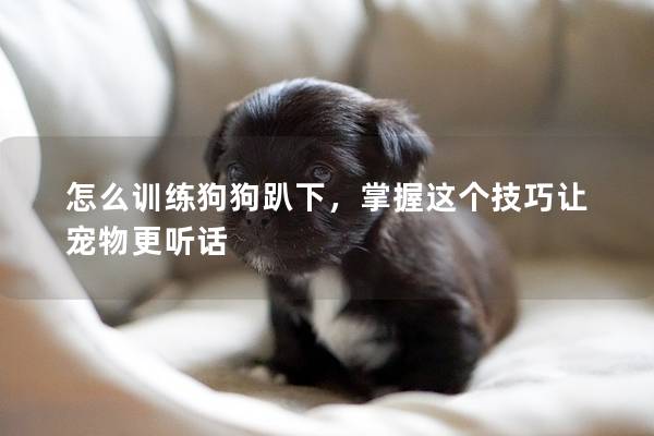 怎么訓練狗狗趴下,掌握這個技巧讓寵物更聽話 怎么訓練狗狗趴下,掌握這個技巧讓寵物更聽話
