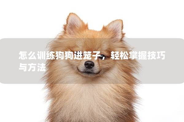 怎么訓練狗狗進籠子，輕松掌握技巧與方法