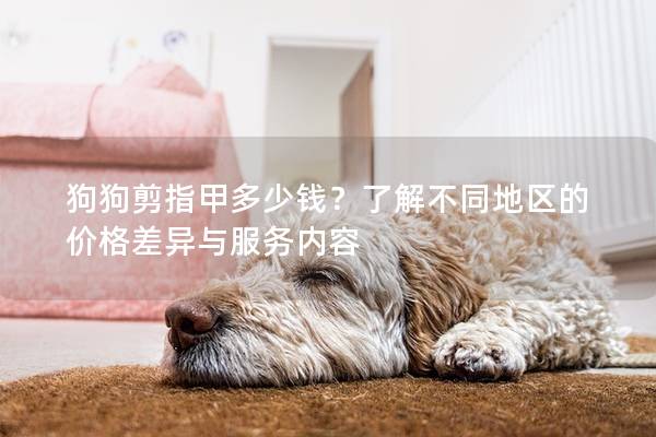 狗狗剪指甲多少錢？了解不同地區的價格差異與服務內容