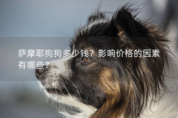 薩摩耶狗狗多少錢？影響價格的因素有哪些？