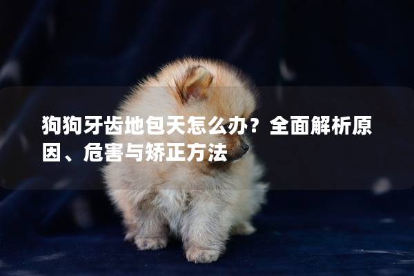 狗狗牙齒地包天怎么辦？全面解析原因、危害與矯正方法