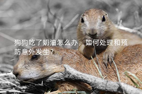 狗狗吃了奶油怎么辦，如何處理和預(yù)防意外發(fā)生？