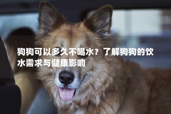狗狗可以多久不喝水？了解狗狗的飲水需求與健康影響