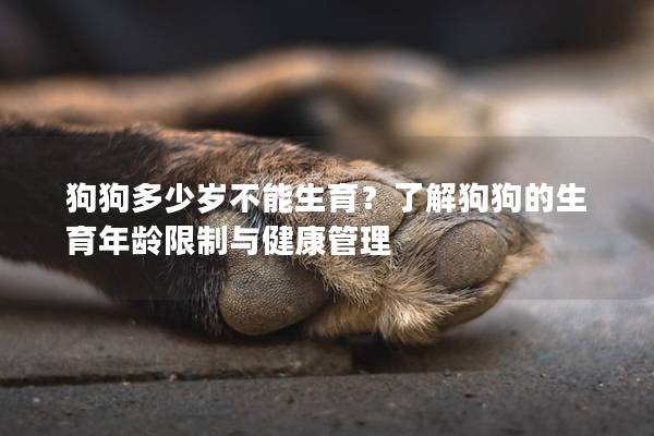 狗狗多少歲不能生育?了解狗狗的生育年齡限制與健康管理 狗狗多少歲不能生育?了解狗狗的生育年齡限制與健康管理