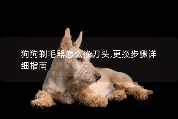 狗狗剃毛器怎么換刀頭,更換步驟詳細指南 狗狗剃毛器怎么換刀頭,更換步驟詳細指南