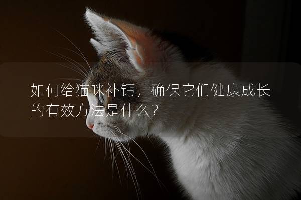如何給貓咪補(bǔ)鈣，確保它們健康成長的有效方法是什么？