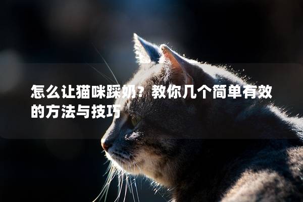 怎么讓貓咪踩奶?教你幾個簡單有效的方法與技巧 怎么讓貓咪踩奶?教你幾個簡單有效的方法與技巧