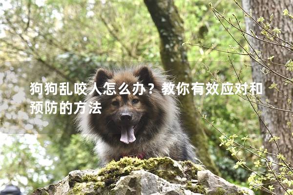 狗狗亂咬人怎么辦？教你有效應對和預防的方法