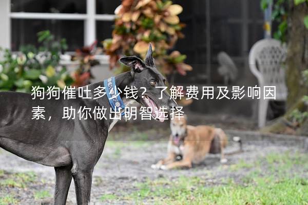 狗狗催吐多少錢(qián)？了解費(fèi)用及影響因素，助你做出明智選擇