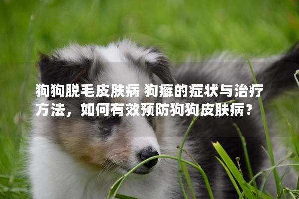 狗狗脫毛皮膚病 狗癬的癥狀與治療方法，如何有效預(yù)防狗狗皮膚病？