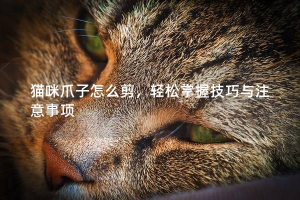 貓咪爪子怎么剪,輕松掌握技巧與注意事項 貓咪爪子怎么剪,輕松掌握技巧與注意事項