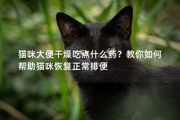 貓咪大便干燥吃點什么藥？教你如何幫助貓咪恢復(fù)正常排便