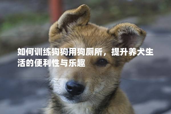 如何訓練狗狗用狗廁所，提升養犬生活的便利性與樂趣