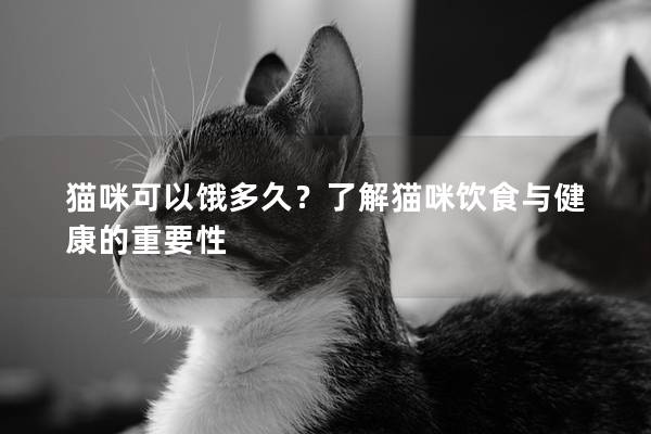 貓咪可以餓多久？了解貓咪飲食與健康的重要性