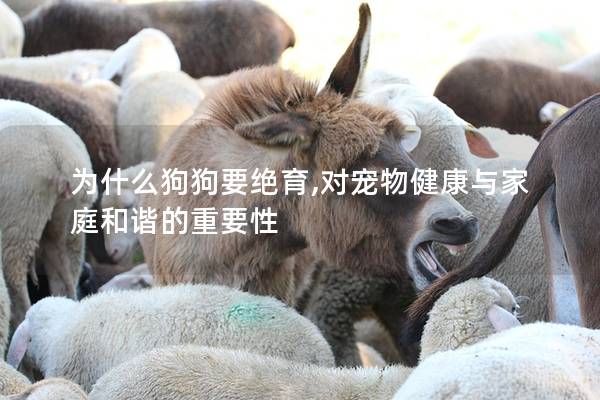為什么狗狗要絕育,對寵物健康與家庭和諧的重要性