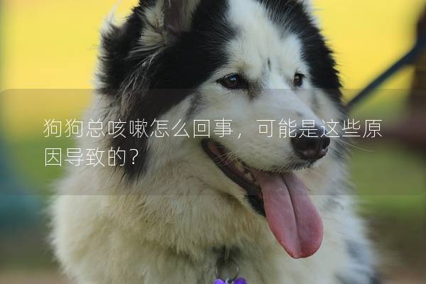 狗狗總咳嗽怎么回事，可能是這些原因?qū)е碌模?></em><p>狗狗總咳嗽怎么回事，可能是這些原因?qū)е碌模?/p><span>2025-01-19</span></a></li><li><a title=