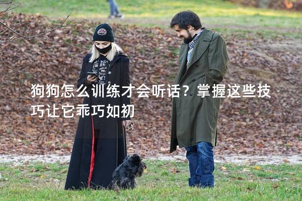 狗狗怎么訓練才會聽話？掌握這些技巧讓它乖巧如初