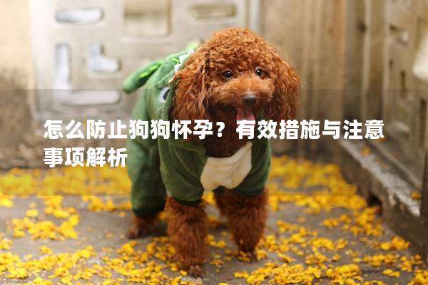 怎么防止狗狗懷孕？有效措施與注意事項(xiàng)解析