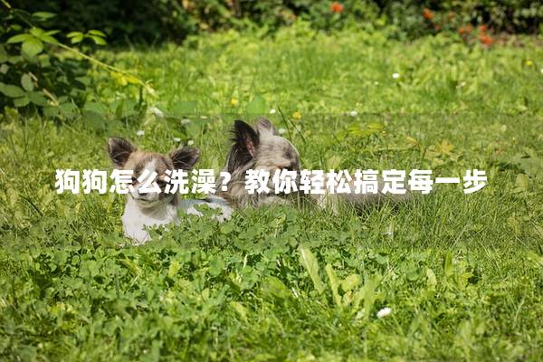 狗狗怎么洗澡?教你輕松搞定每一步 狗狗怎么洗澡?教你輕松搞定每一步