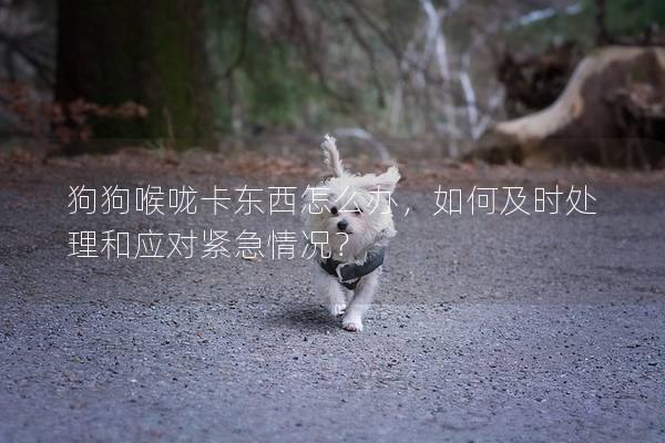 狗狗喉嚨卡東西怎么辦，如何及時處理和應對緊急情況？