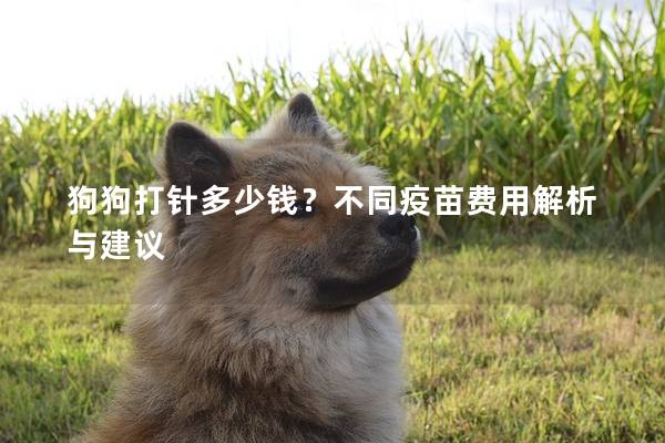 狗狗打針多少錢？不同疫苗費(fèi)用解析與建議