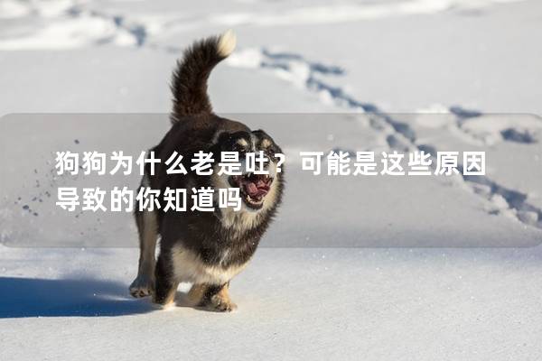 狗狗為什么老是吐？可能是這些原因?qū)е碌哪阒绬?></em><p>狗狗為什么老是吐？可能是這些原因?qū)е碌哪阒绬?/p><span>2024-11-22</span></a></li><li><a title=