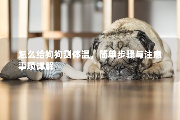 怎么給狗狗測體溫，簡單步驟與注意事項詳解