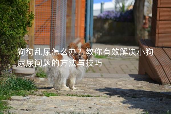 狗狗亂尿怎么辦？教你有效解決小狗尿尿問題的方法與技巧