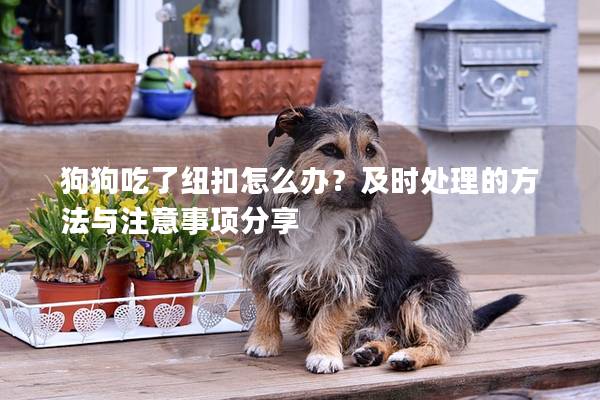 狗狗吃了紐扣怎么辦？及時處理的方法與注意事項分享
