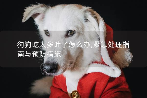 狗狗吃太多吐了怎么辦,緊急處理指南與預(yù)防措施